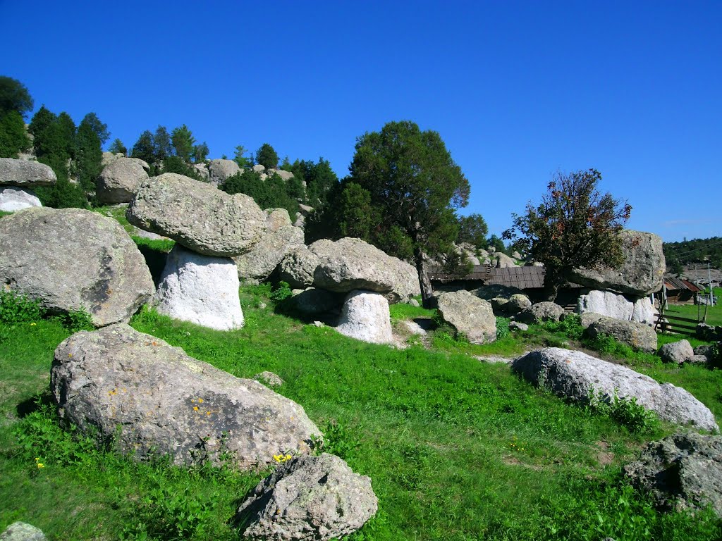 Paisaje Valle de los Hongos Creel